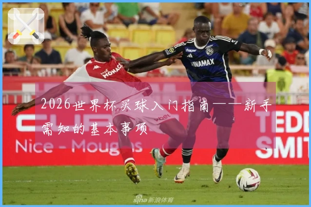 2026世界杯买球入门指南——新手需知的基本事项