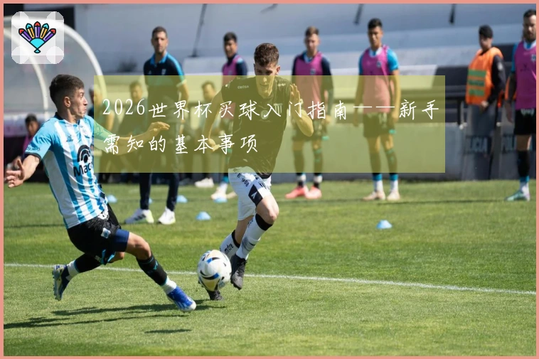 2026世界杯买球入门指南——新手需知的基本事项