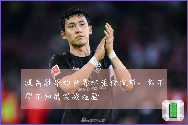 提高胜率的世界杯竞猜技巧，你不得不知的实战经验